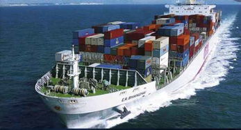 国际食品货运中的道路货物运输关键环节与挑战